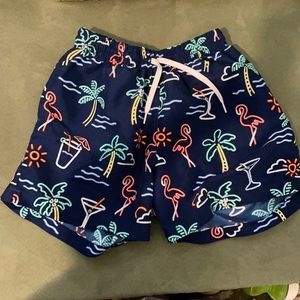 Chubbies neon lights swim shorts